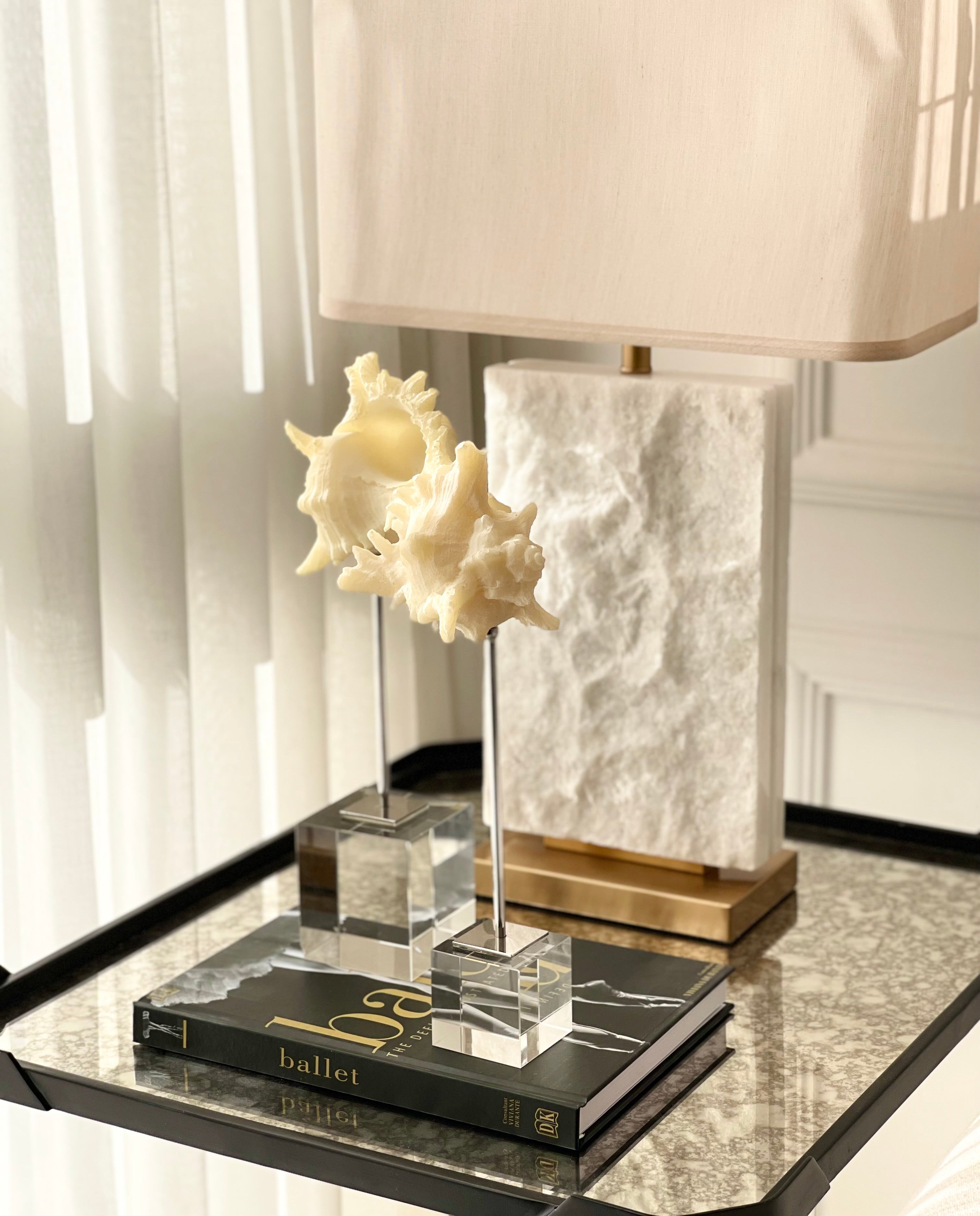 Ballet Decoration Book